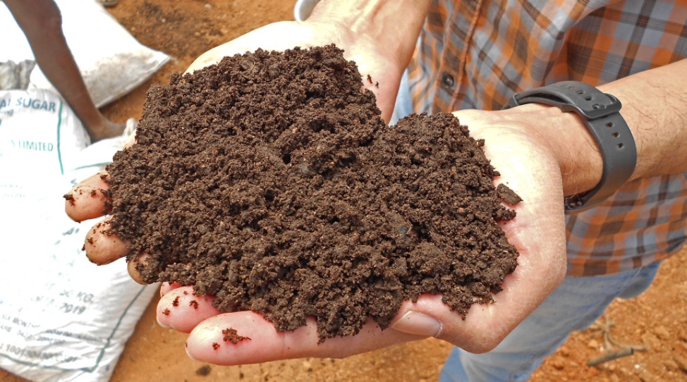 soil held in two hands