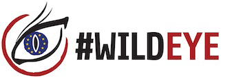WildEye logo