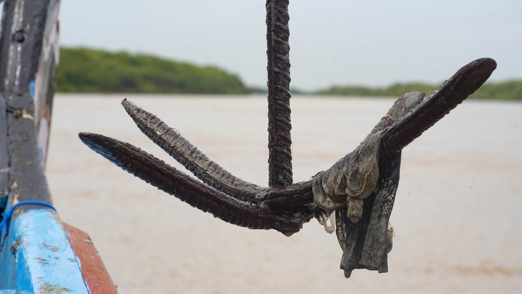 Plastic waste on an anchor