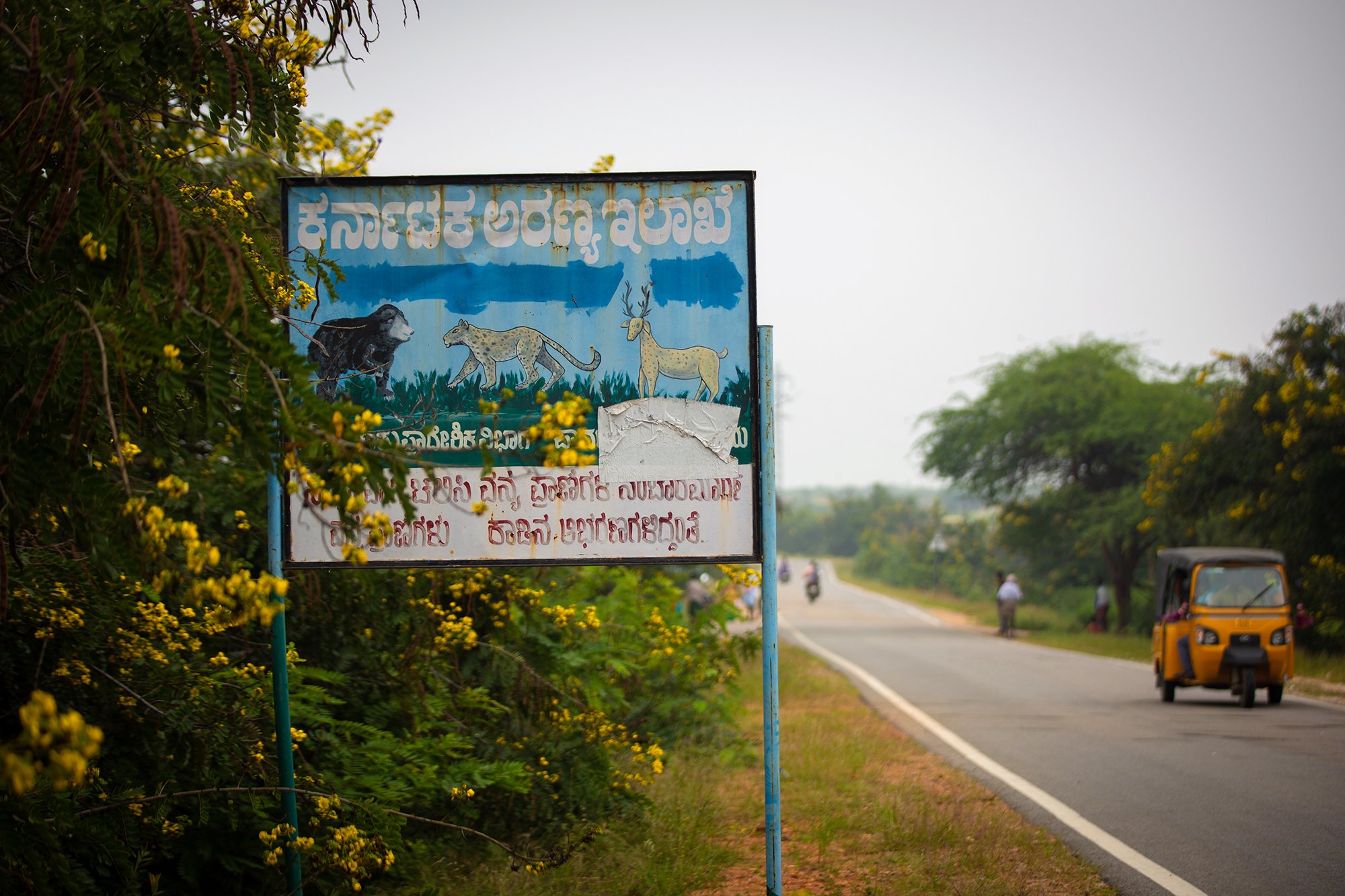 A wildlife crossing board on a road in Pavagada. Photo by Abhishek N. Chinnaappa/Mongabay.