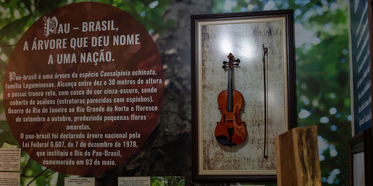 A panel tells the history of Brazilwood at the visitors’ center in the Pau Brasil National Park. Credit: Joana Moncau