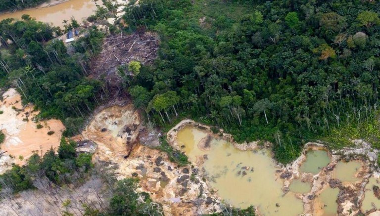 Illegal Mining Is Speeding Up Deforestation In The Venezuelan Amazon 