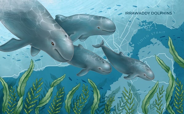 An illustration of Irrawaddy dolphins swimming underwater