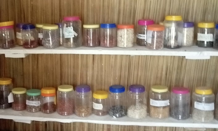 Jars full of seeds on shelves inside a Kenyan community seed bank