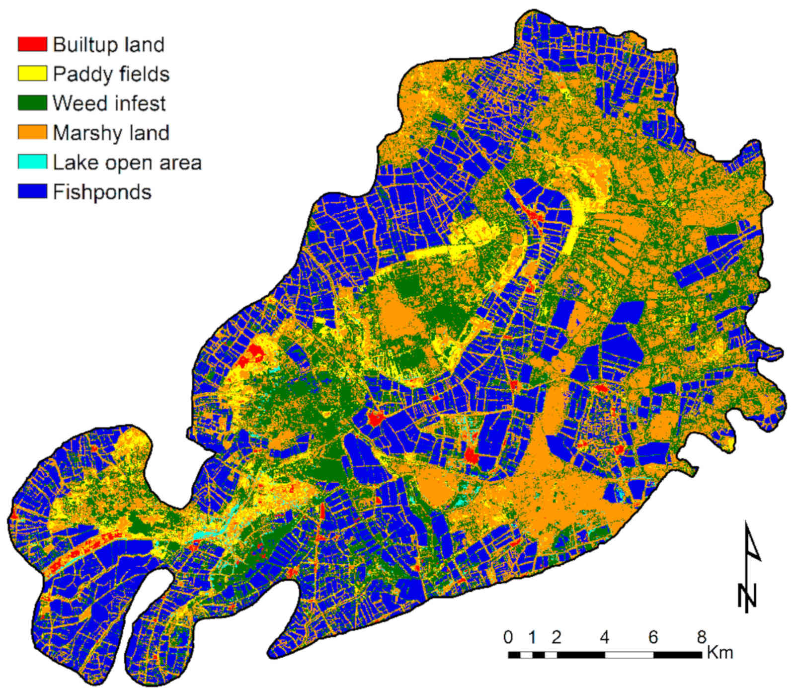 Land use map of Kolleru Lake in 2018. While the lake was a sprawling body of water until the 1980s, geography researcher Meena Kumari Kolli says now open water is only seen during the monsoon season. Visual: Kolli et. al / Water, 2020