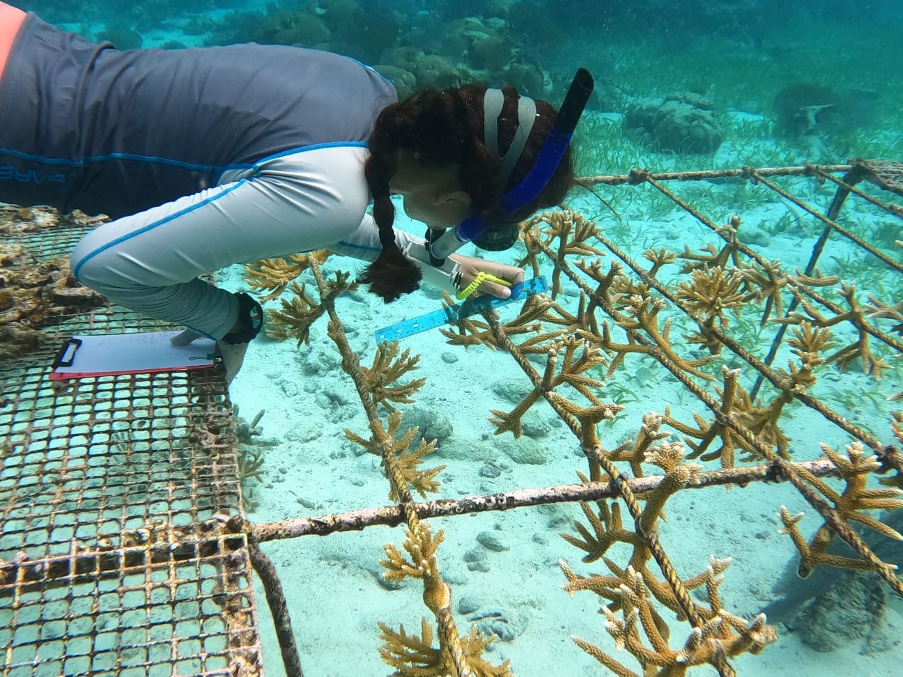 A woman next to a nursery of corals