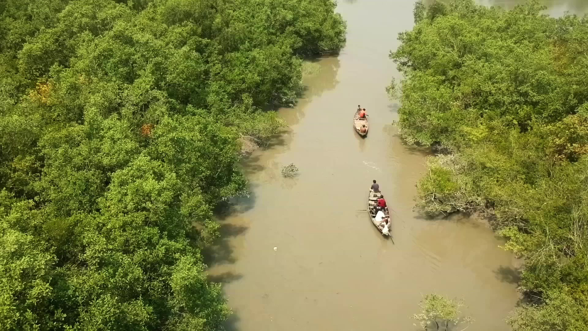 an aerial view of boats in a mangrove