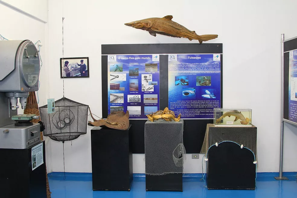 A museum display with fishing equipment