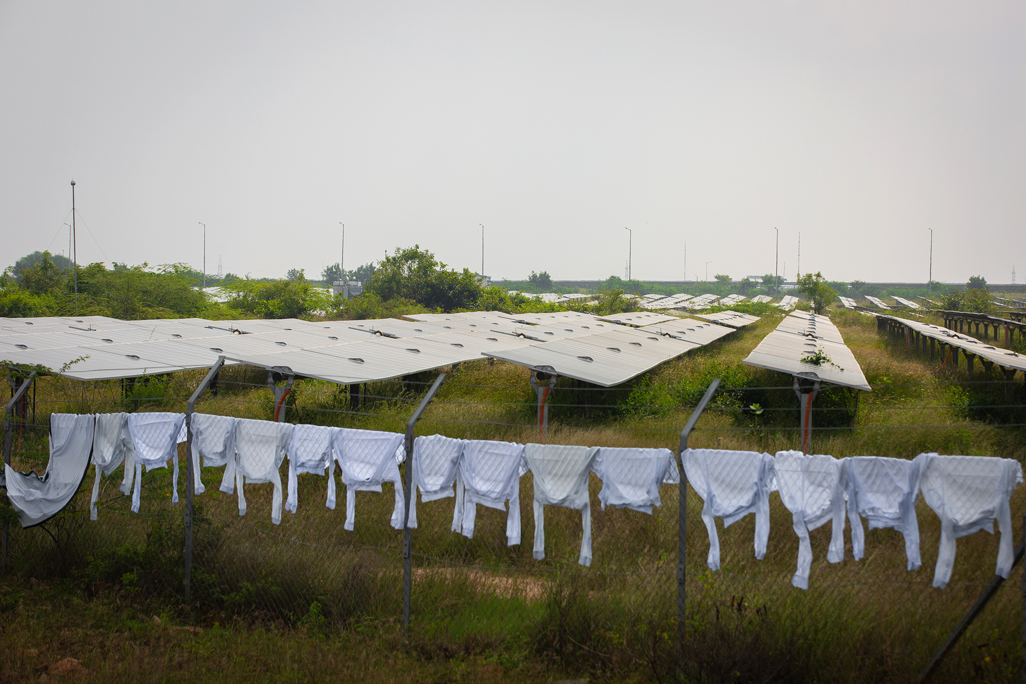 Laundered clothes are left to dry on the fence of the Pavagada Solar Park, one of the largest solar parks in India. Photo by Abhishek N. Chinnappa/Mongabay.