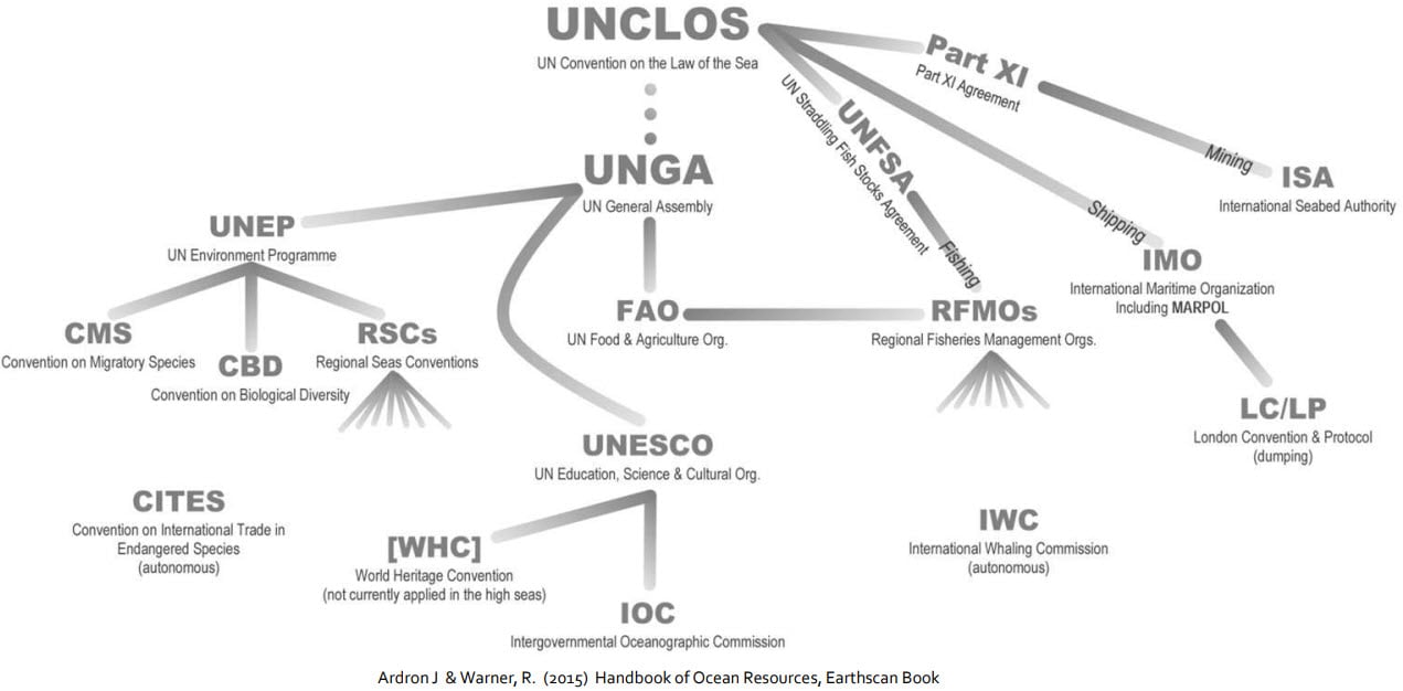 a flowchart demonstrating the international infrastructure and organizations managing the ocean