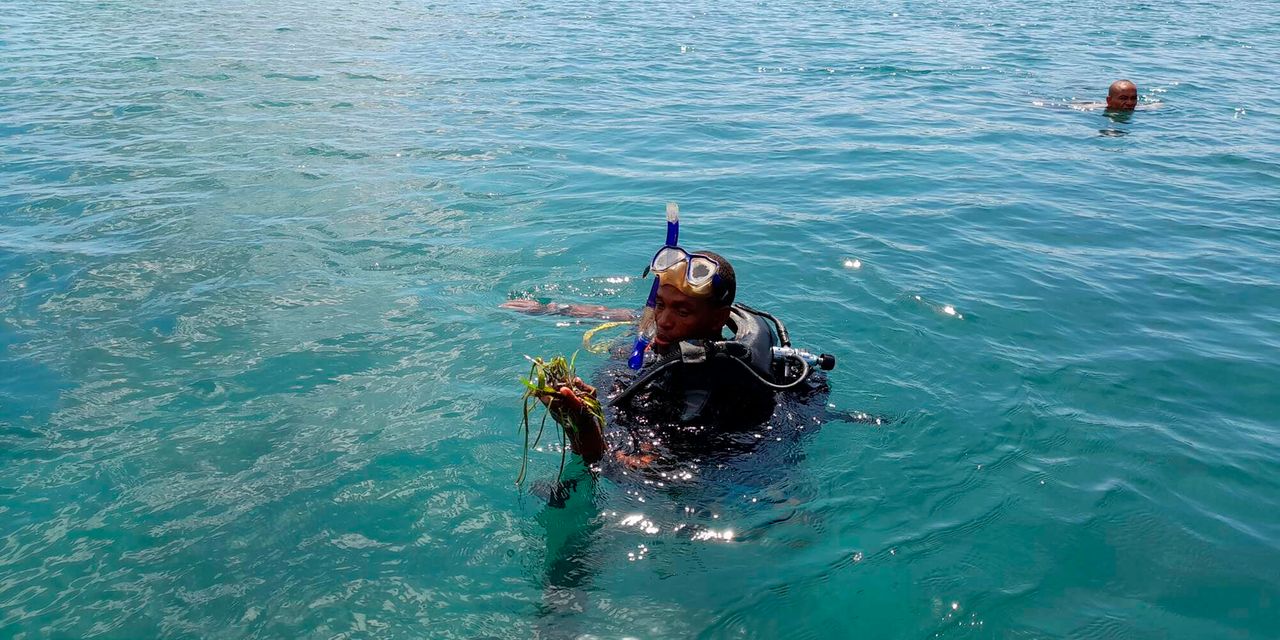 A member of Wasini BMU displays seagrass during a monitoring activity in the Indian Ocean. 