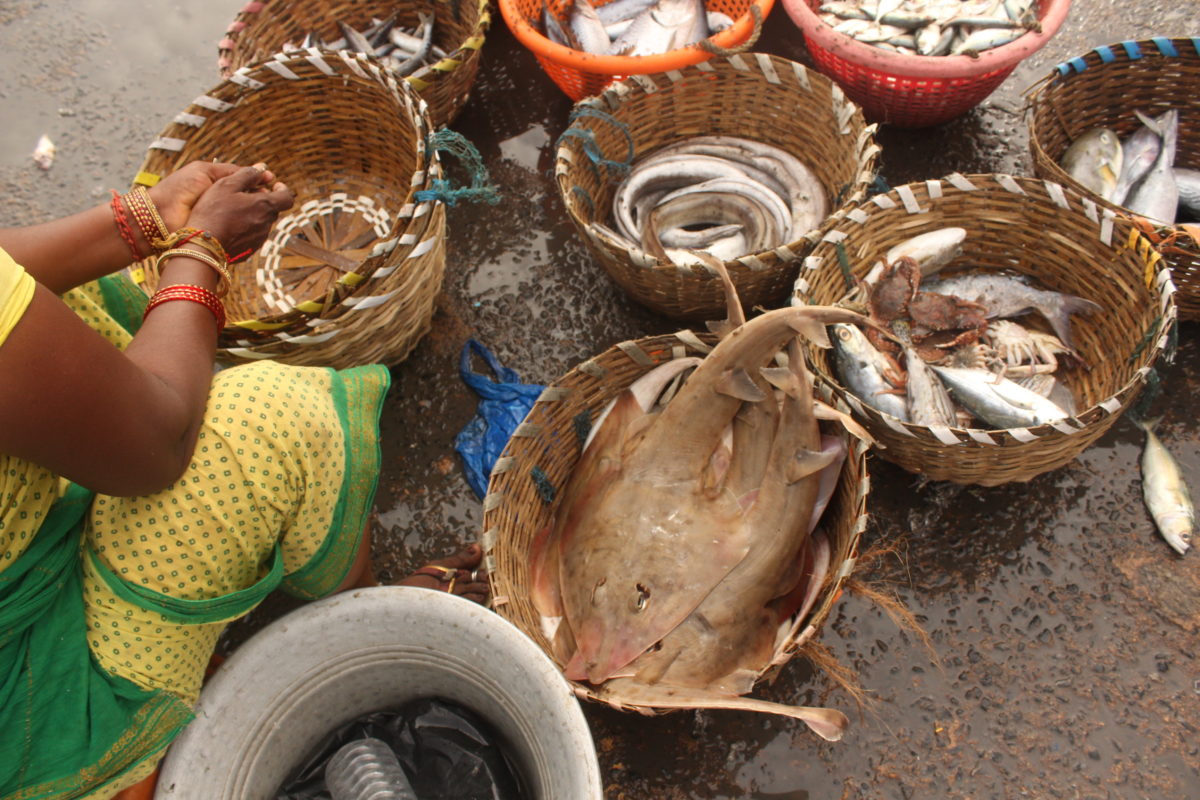 Woman selling fish in Thoothoor
