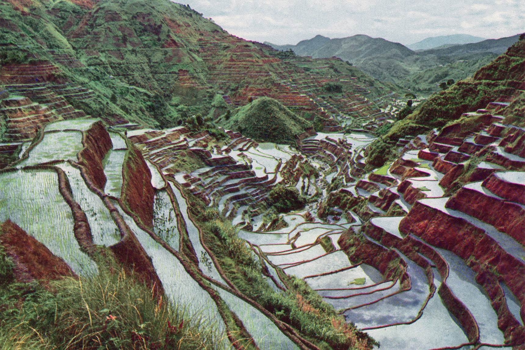 a landscape view of the terraced slopes from the 1970s.