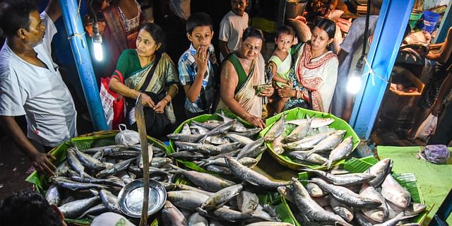 Hilsa fish in Kolkata market