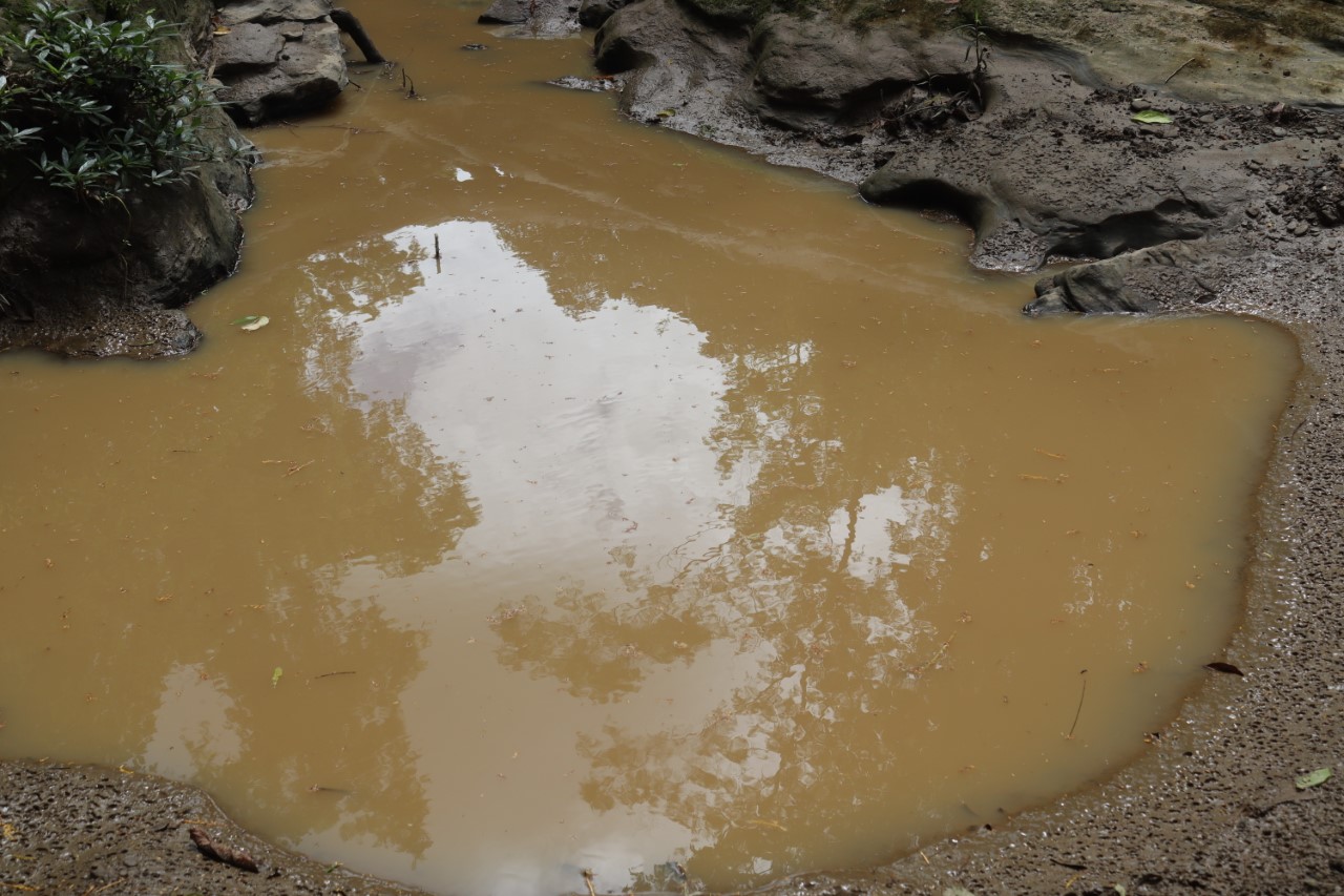 A muddy puddle of water