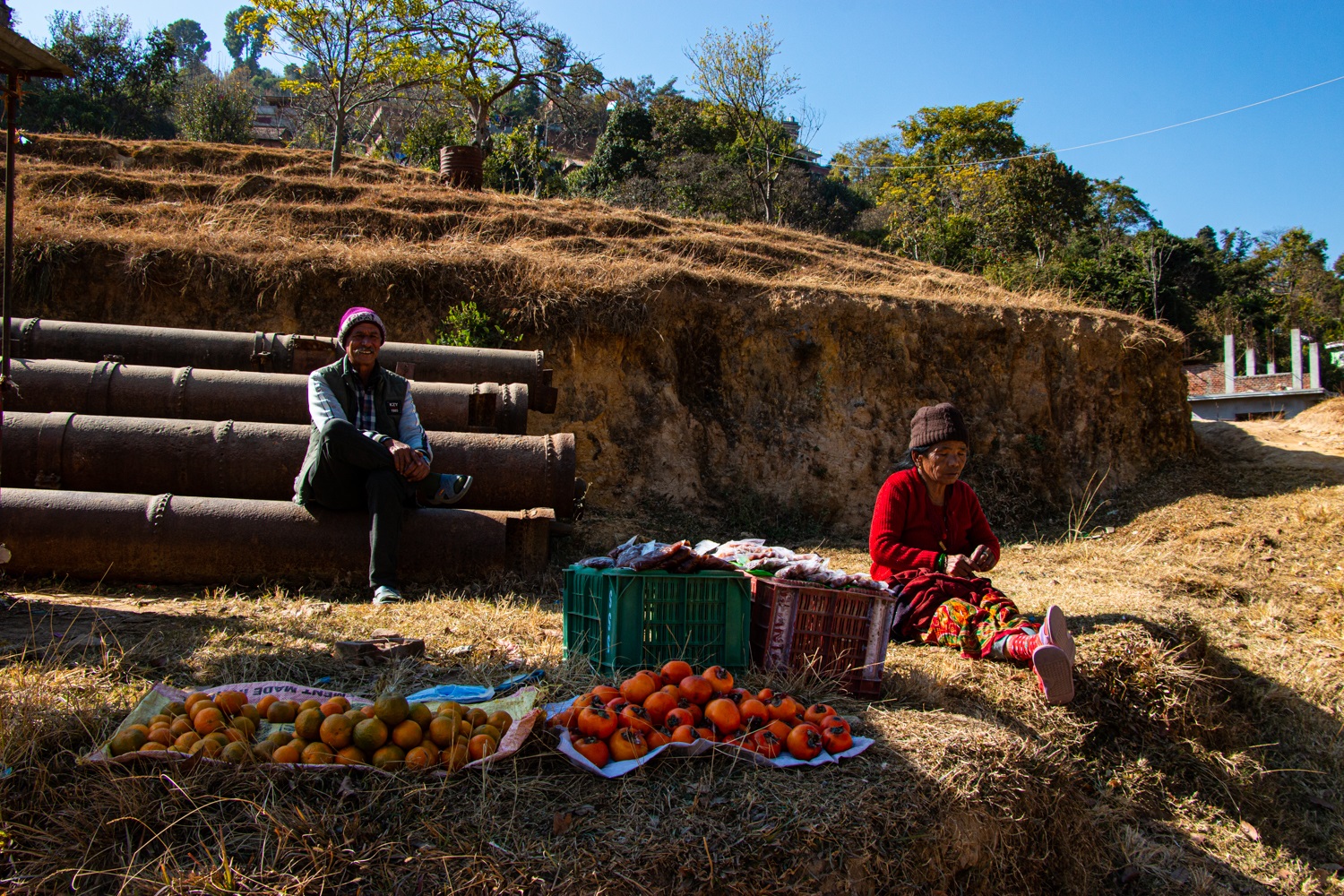 A couple selling oranges