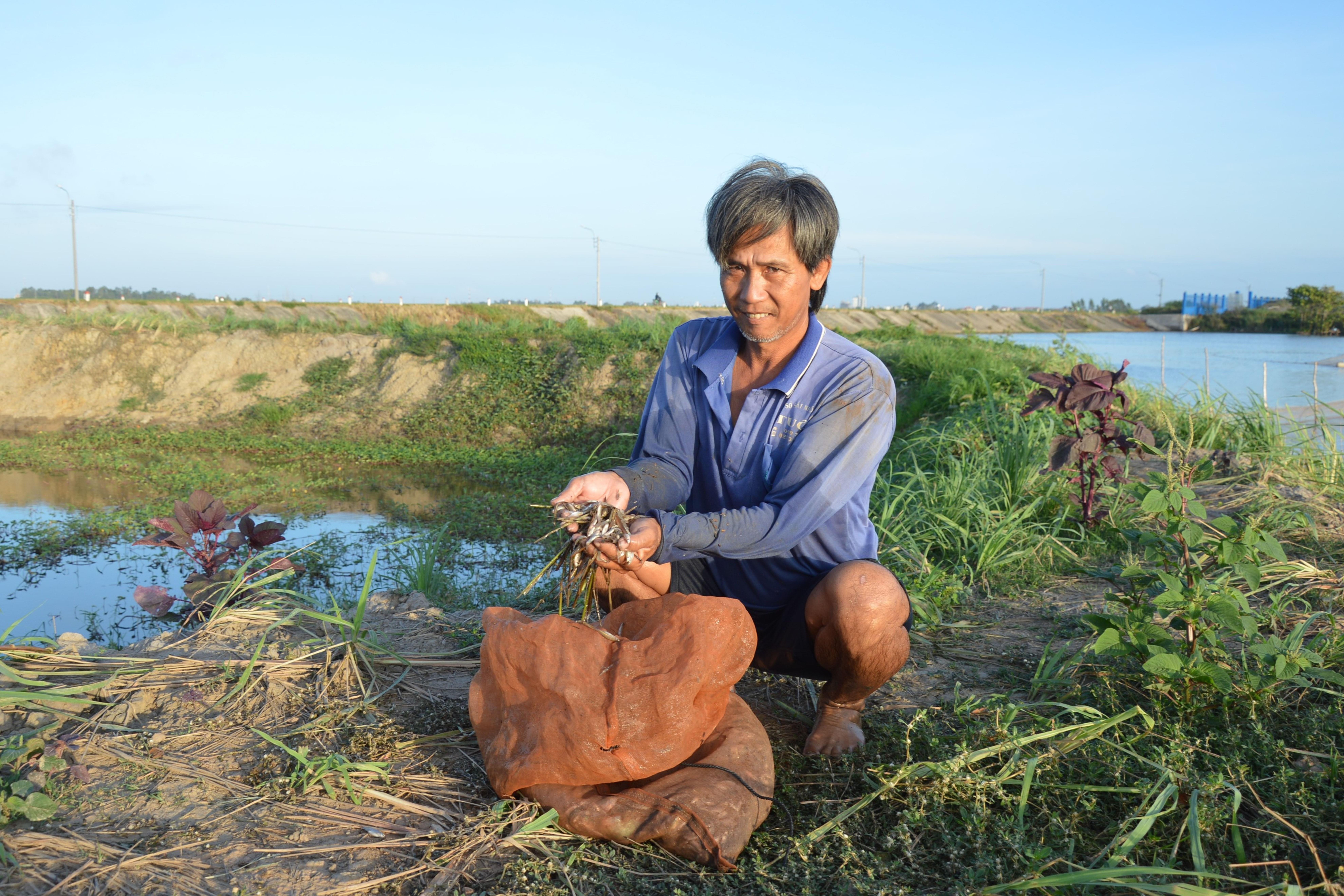 Fish catches in the Mekong Delta are in decline due to the climate change, hydropower dams in upstream Mekong River and dyke systems in high yield rice farms.