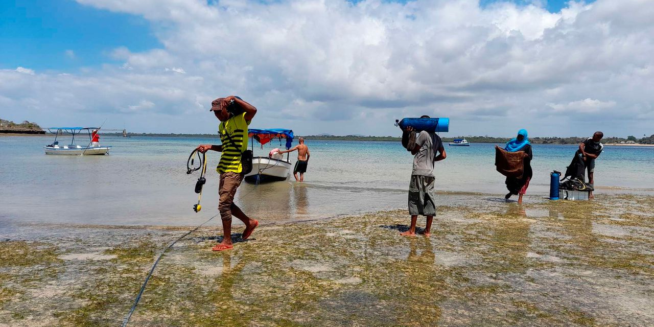 Members of Wasini BMU carry diving equipment in Wasini Island before replanting seagrass in the Indian Ocean.