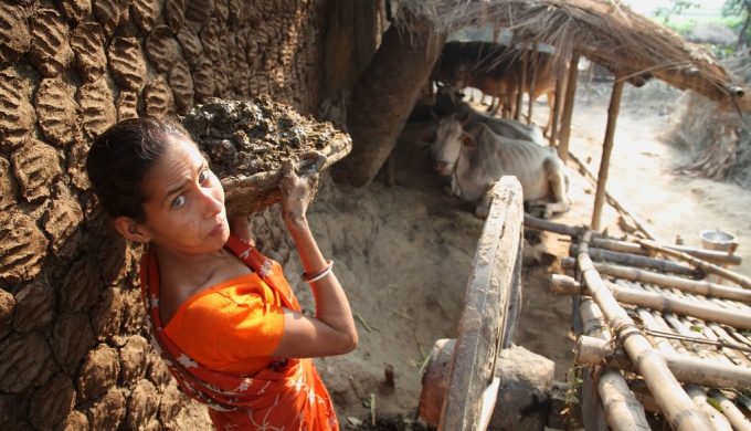 A woman drying cattle dung for household fuel in West Bengal, India (Image by ILRI/Stevie Mann)