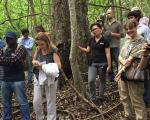 Ten reporters receive fellowships to cover UN biodiversity negotiations in Mexico