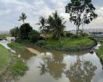 polluted Penang