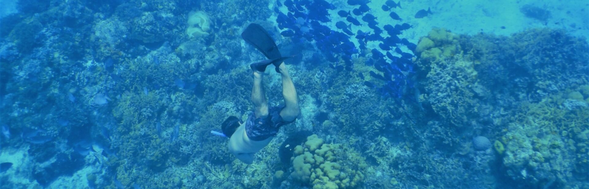 Diver in Cozumel