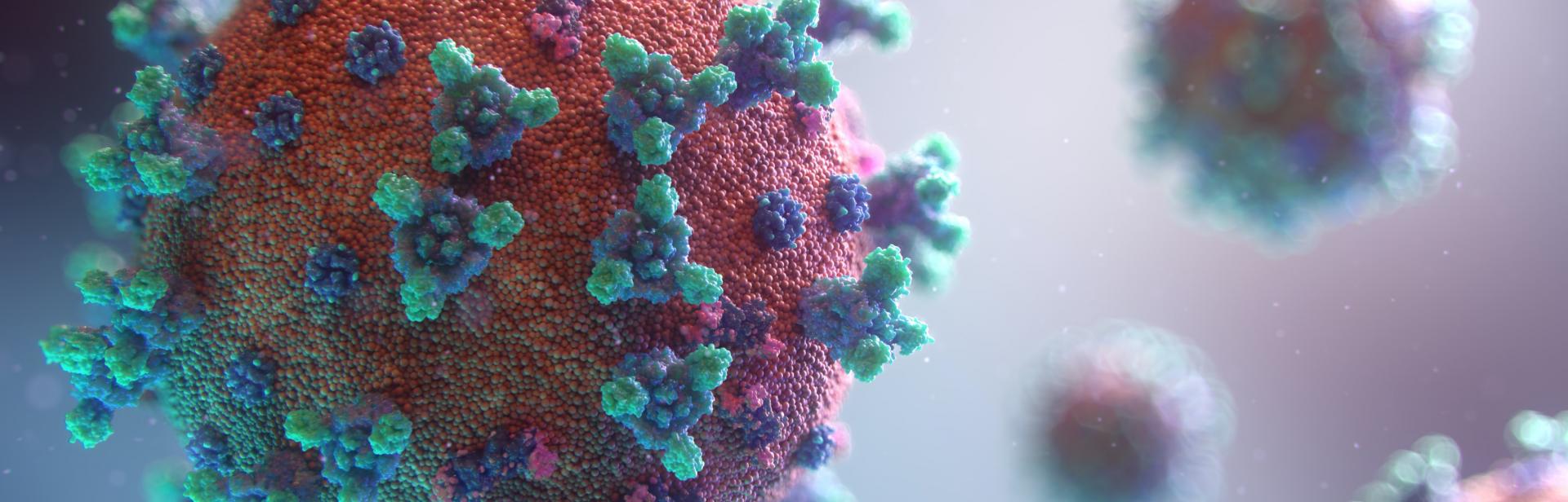A macro photograph of a virus with spike proteins 