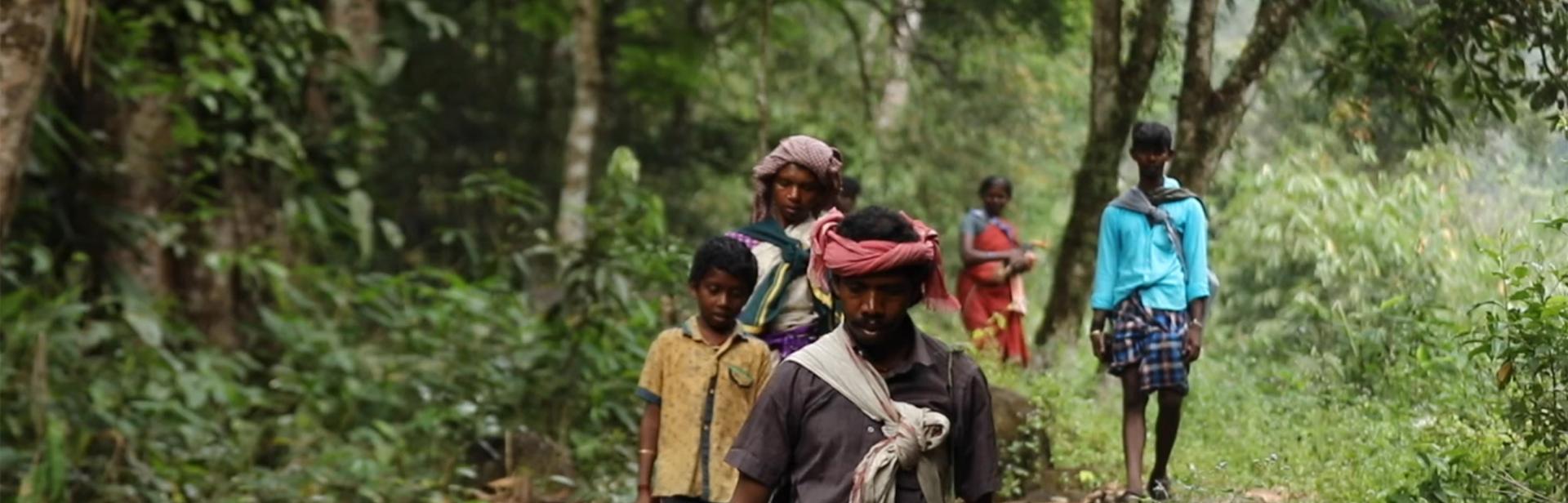The Kadar tribe in Anamalai Forest
