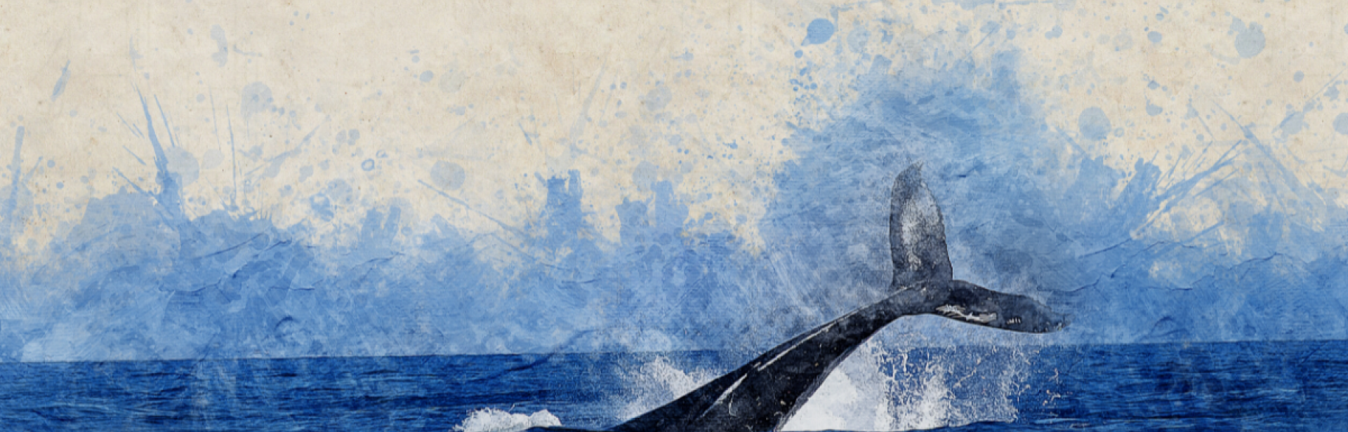 illustration of whale in ocean