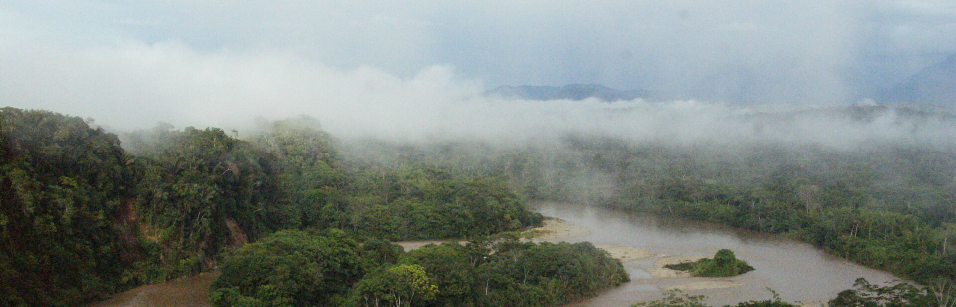 a misty view of the rainforest and river