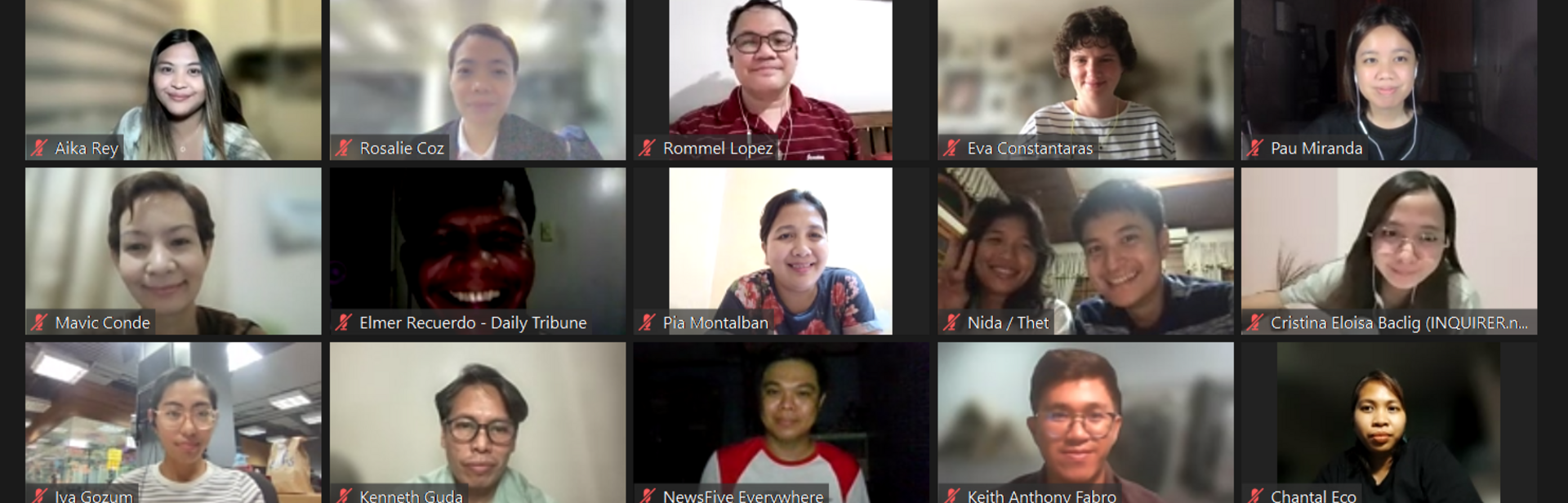 Attendees of an environmental data journalism academy get together on a video call