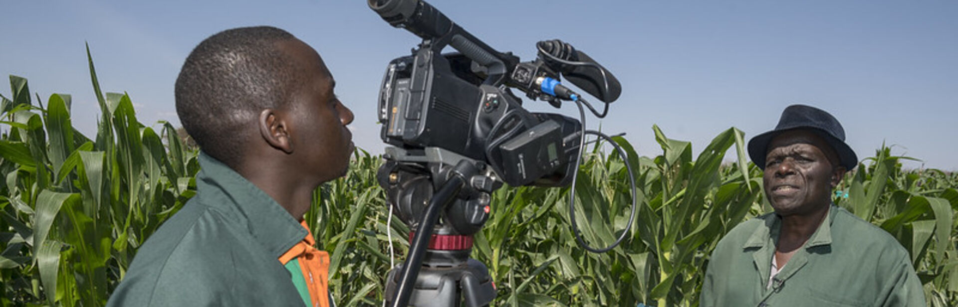 Journalist interviews a man while standing in a cornfield