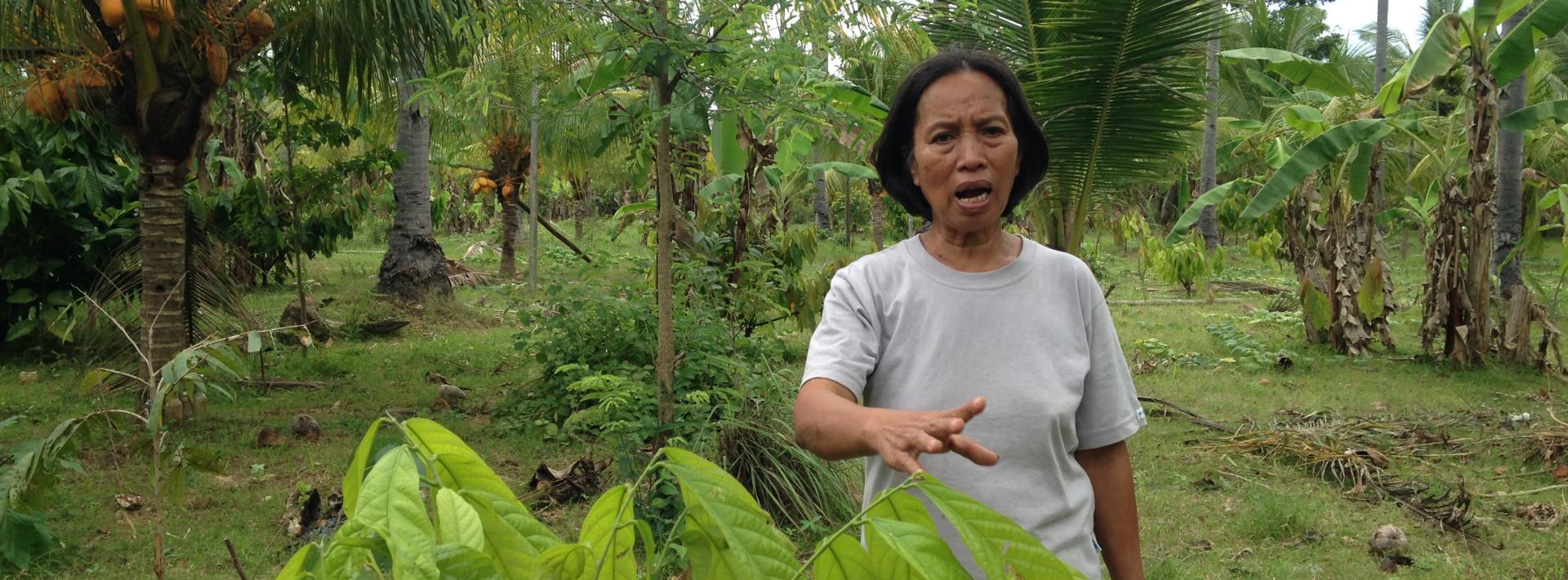 Part 2: Romancing storms, worms and leaves; growing tobacco in the shadow of environmental perils in the Philippines