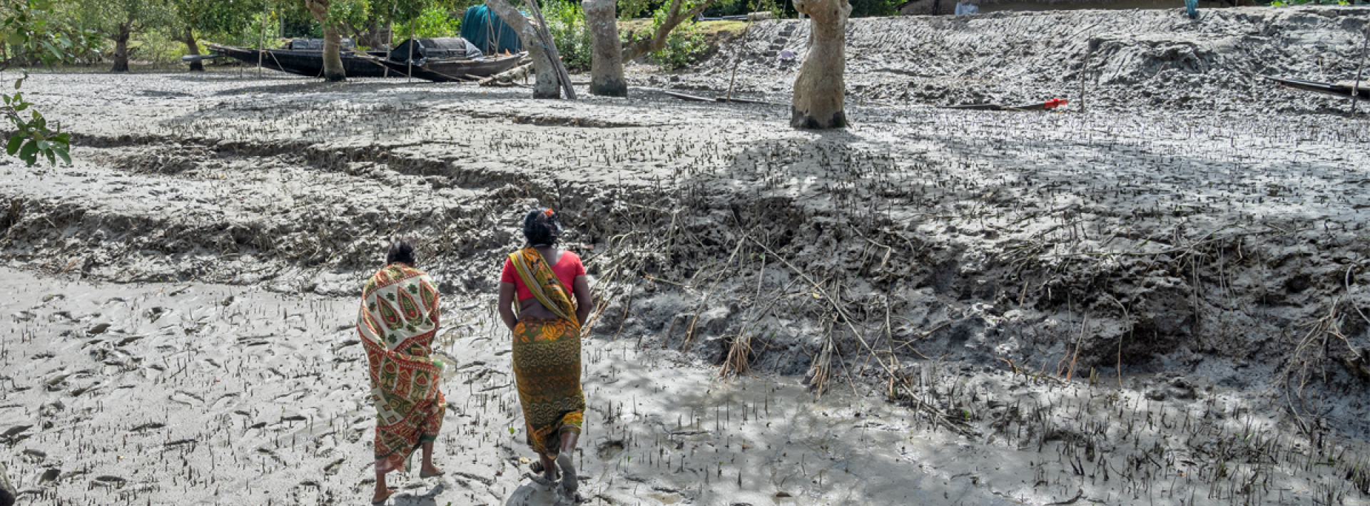 Tiger widows of the Sundarbans: Navigating ecology, beliefs and mental health