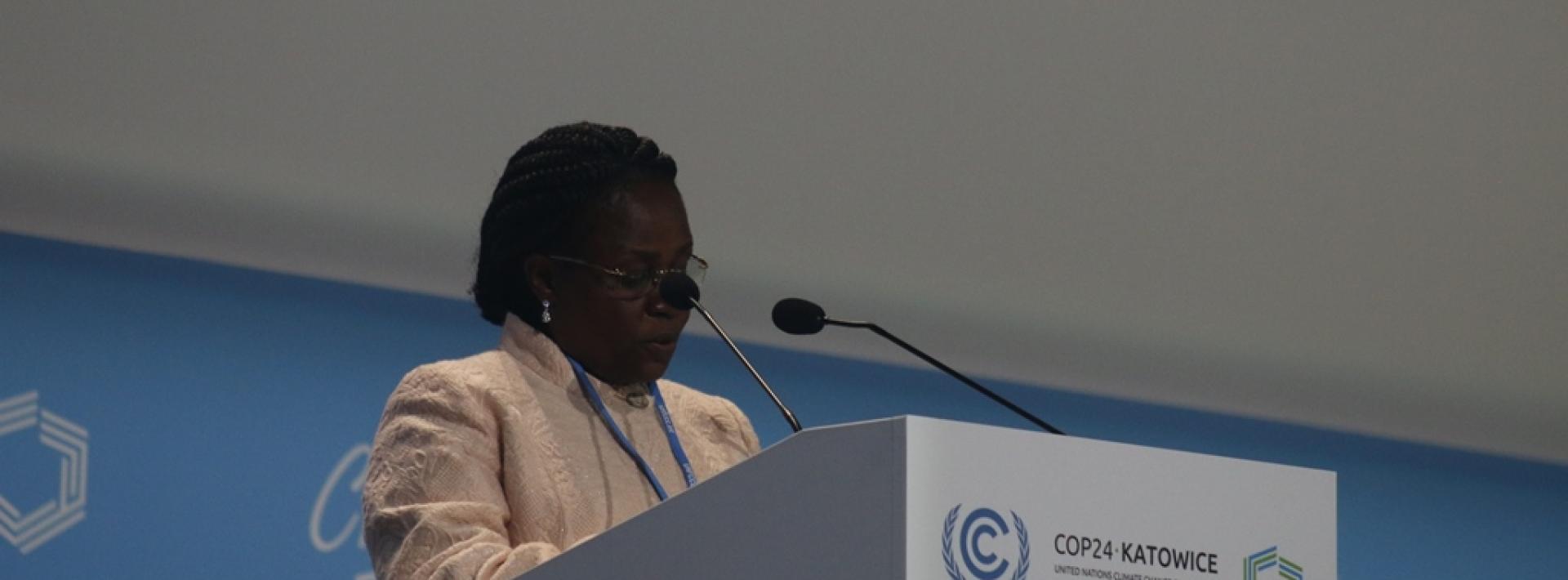 Uganda calls for action to save world from climate catastrophe