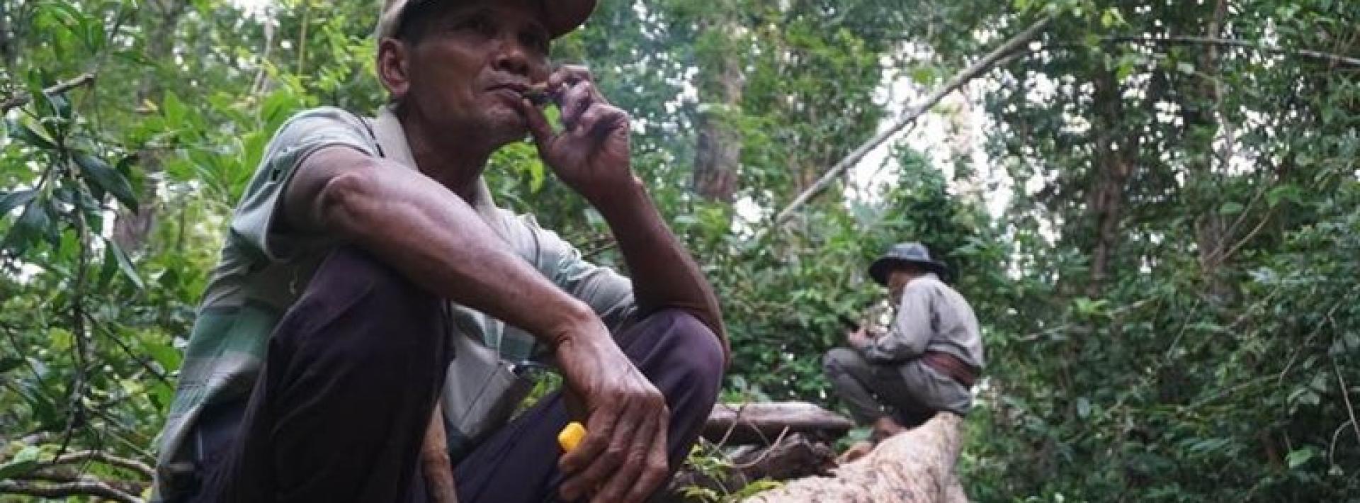 Meet the 'vigilante' grandfathers protecting indigenous forest life in Cambodia