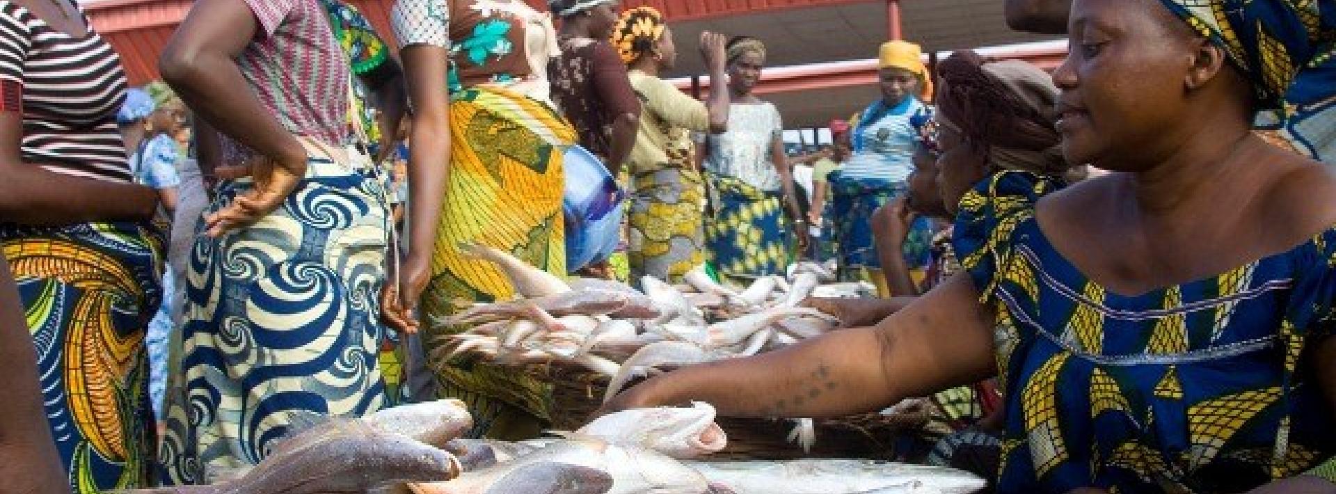 NIGERIA: Importing fish amidst abundant ocean resources, the paradox of a nation