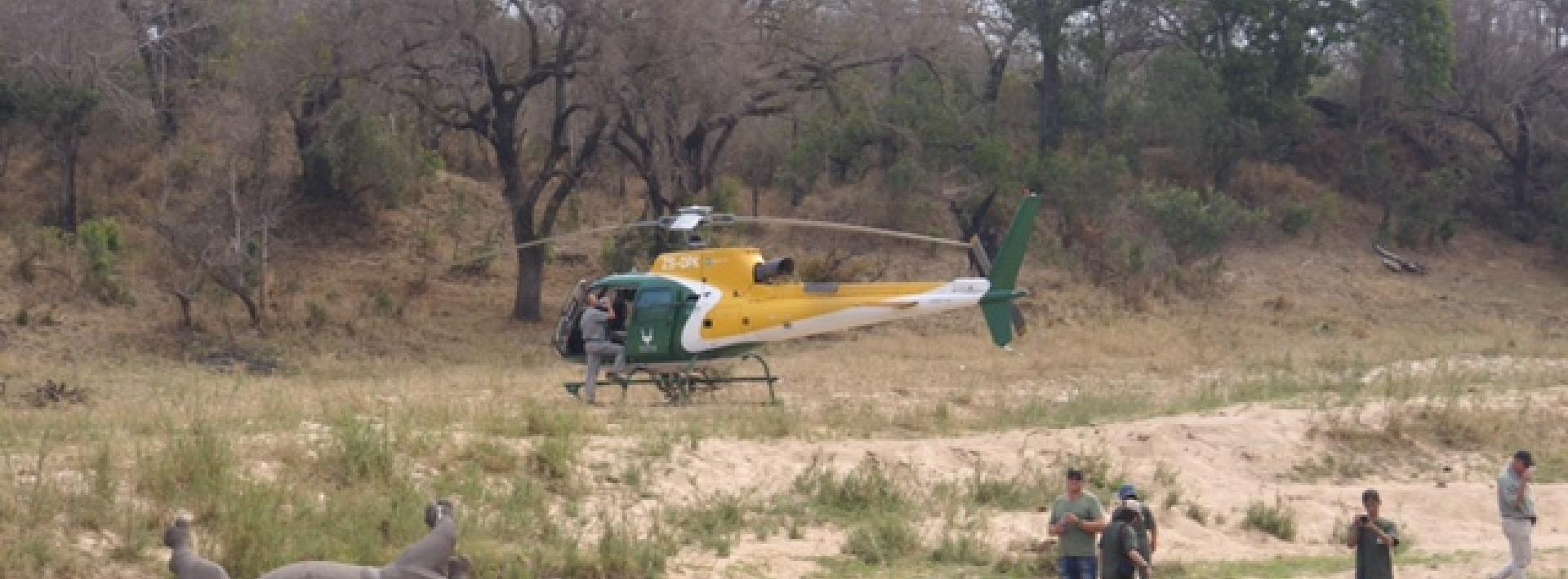 Poaching syndicates target Kruger rangers