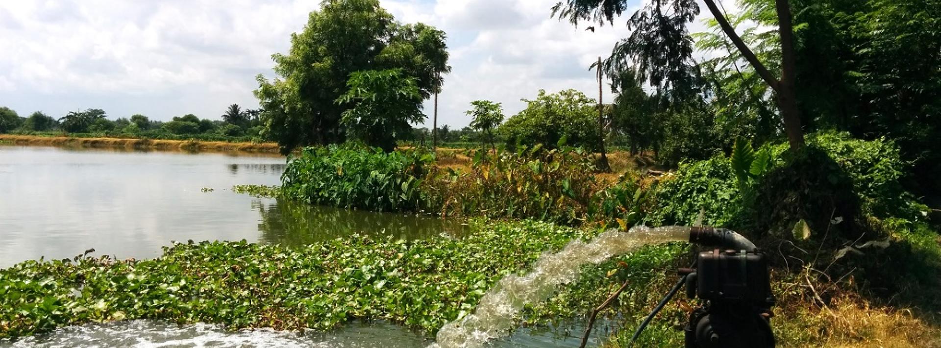 Green tribunal raises red flag over Kolkata wetlands