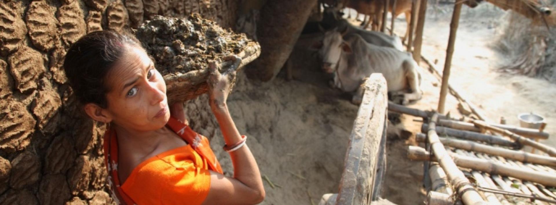 Millions die as most Indians still cook with wood and dung
