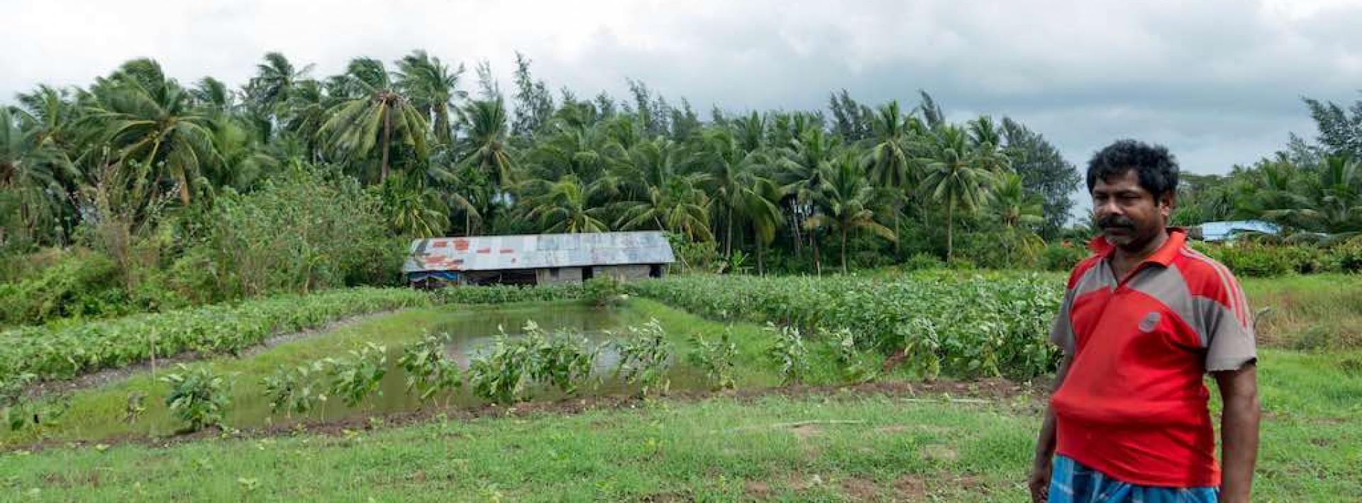 Andaman farmers reshape land for better farming