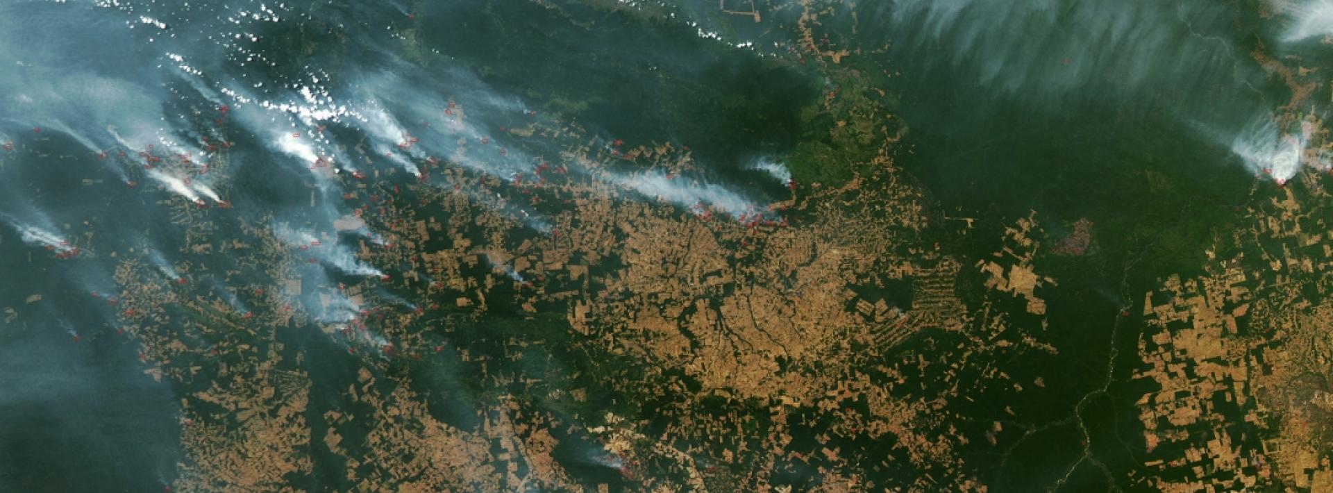 Satellite footage of Amazon fires