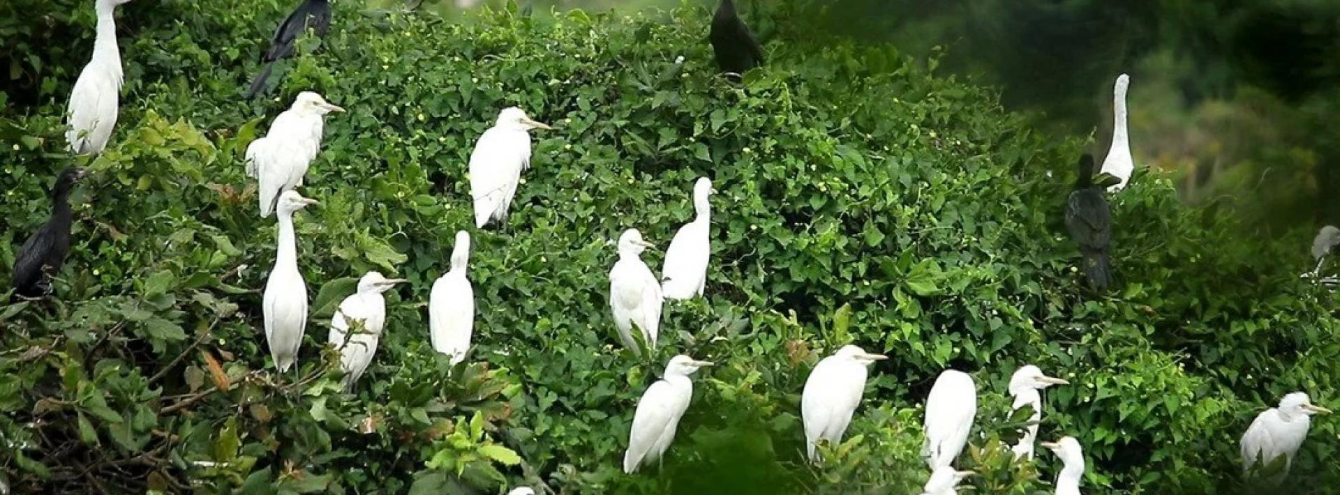 Some of the birds that call the sanctuary home