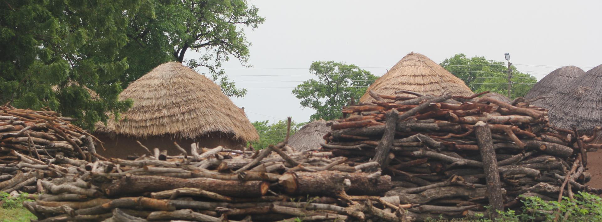 village huts with firewood piled in front of them. 