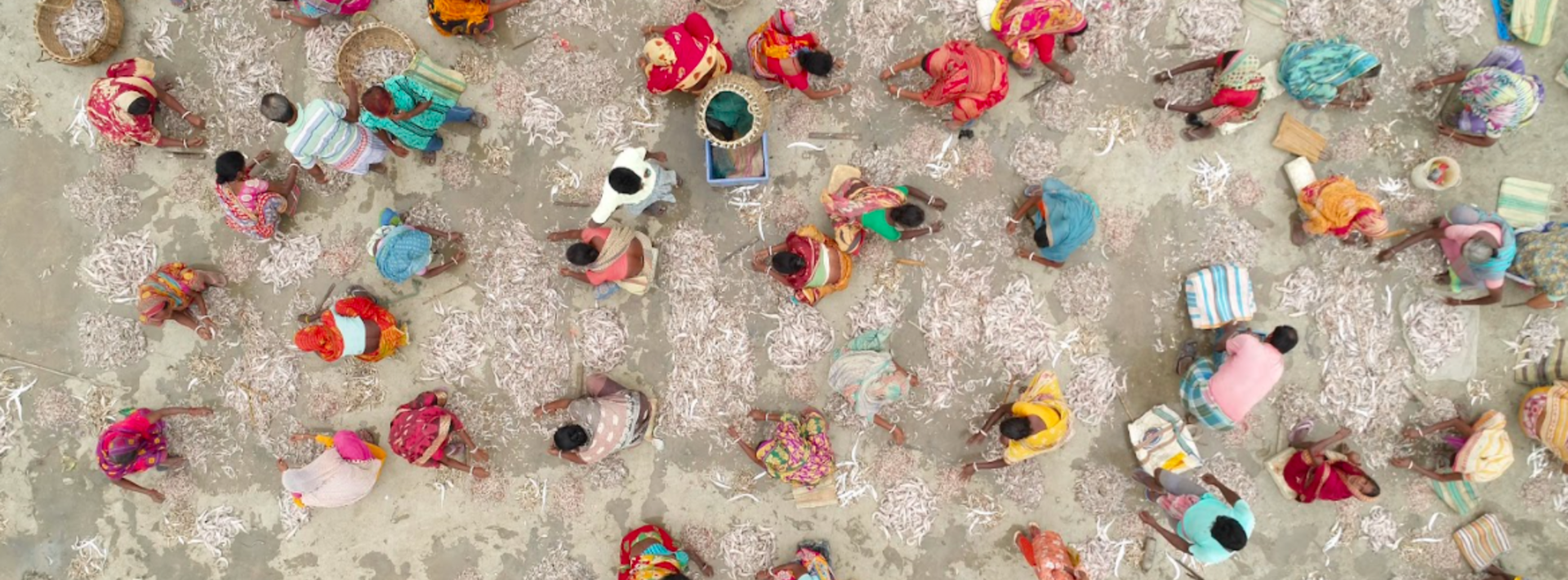 aerial shot of women at a fishing dock
