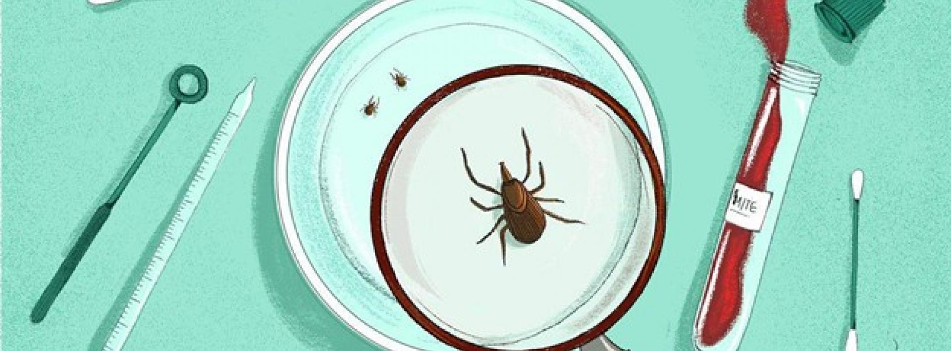 illustration of tick under magnifying glass