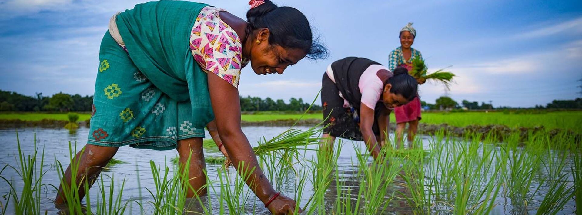 a woman bending over in a marsh area grabbing something from the water, she is up to her ankles and wearing a brightly colored traditional outfit in blue, green, white and purple