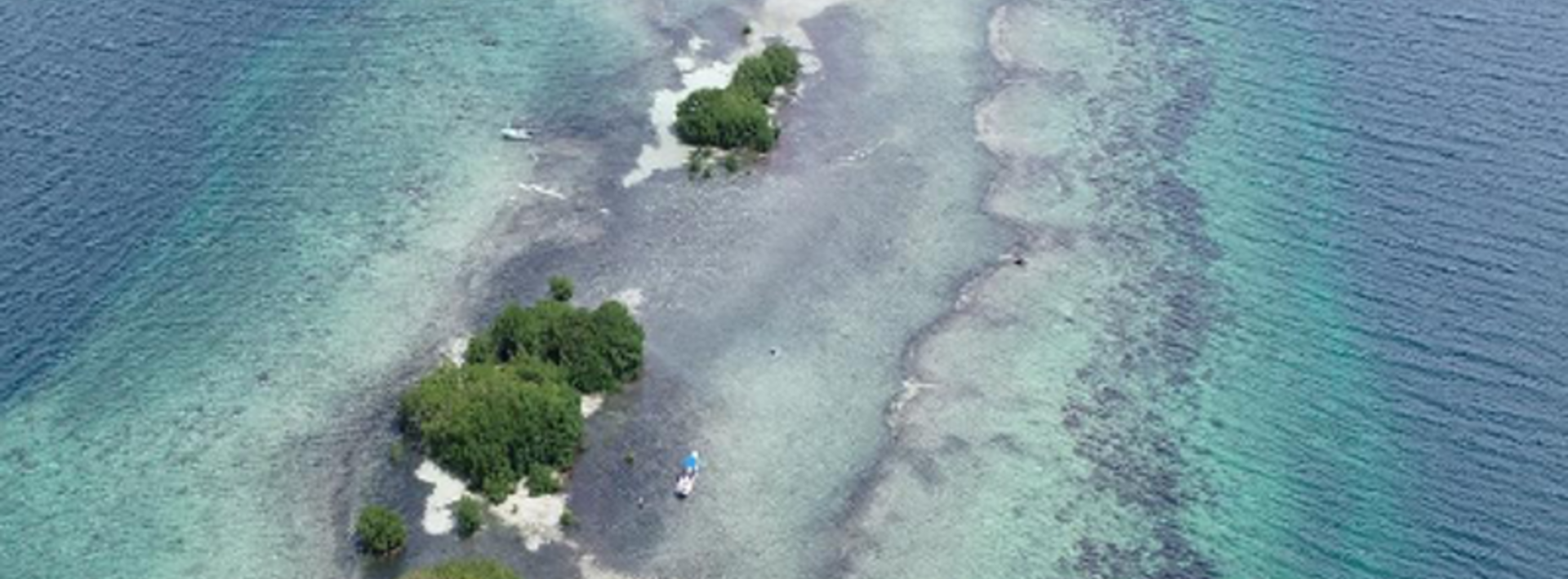 Aerial view of an island