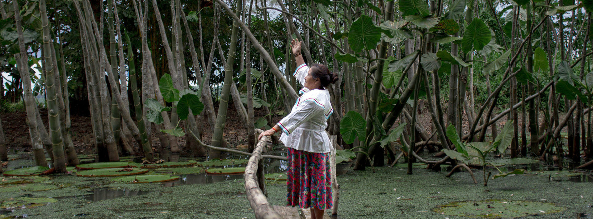 The magical moss helping women in rural Peru to become entrepreneurs -  Positive News