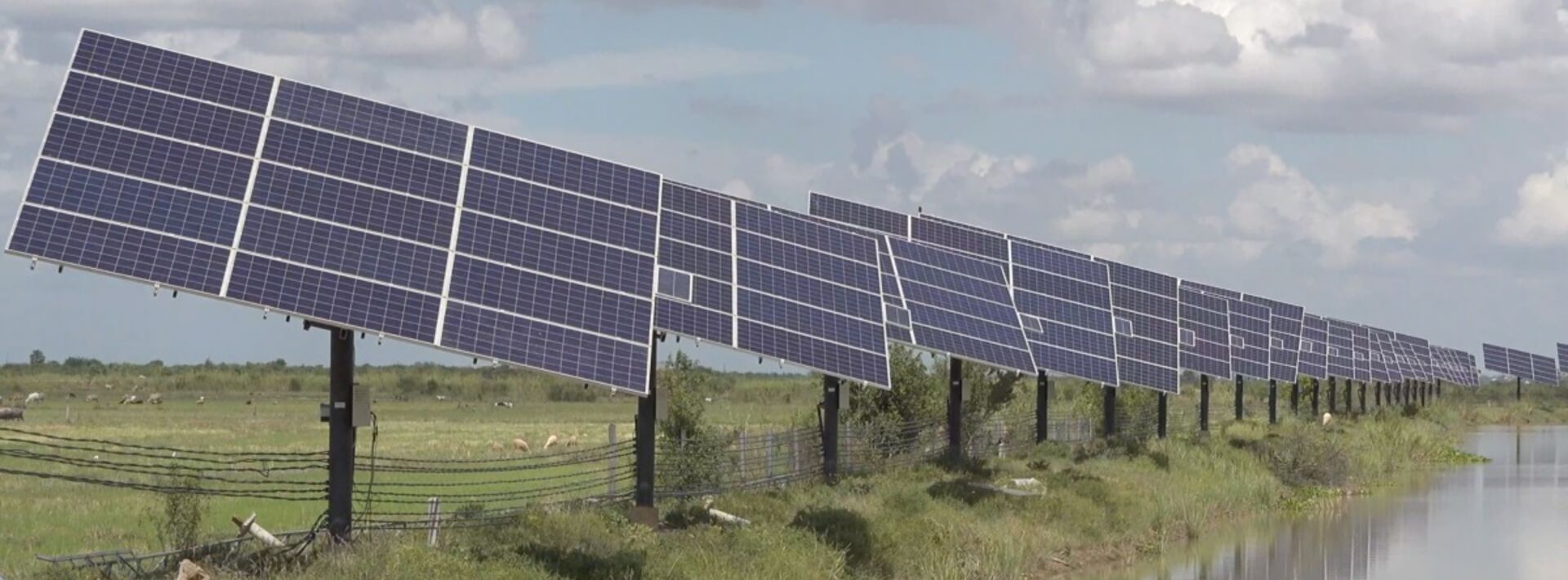 A line of solar panels on a farm situated along a body of water
